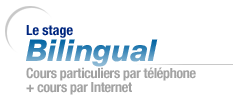 Stage bilingual : Cours particuliers par t&eacute;l&eacute;phone + cours par Internet 